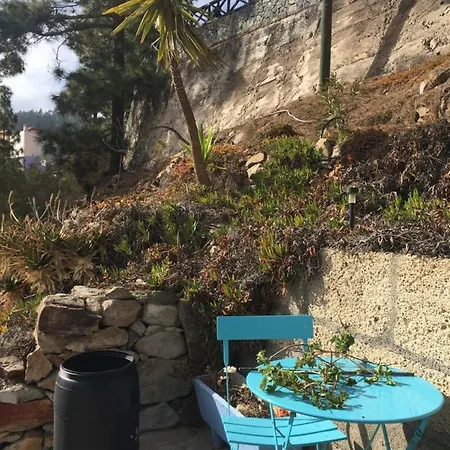 El Mirador *