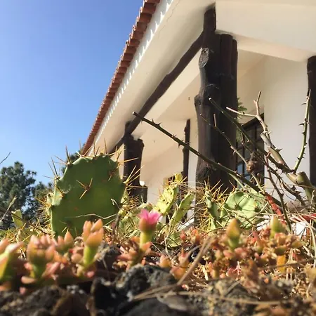 El Mirador