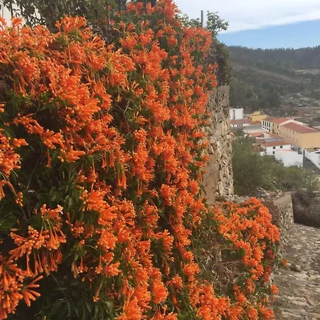 El Mirador