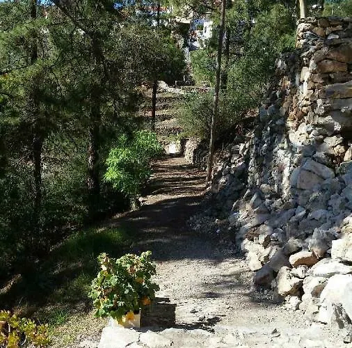 El Mirador Vilaflor de Chasna