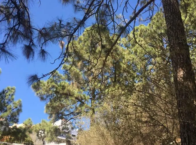 El Mirador דירה *