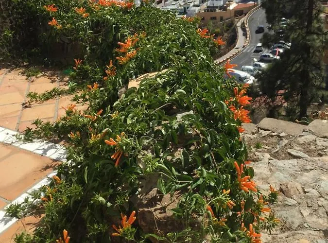 Apartmán El Mirador