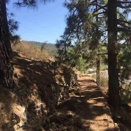 El Mirador Vilaflor de Chasna