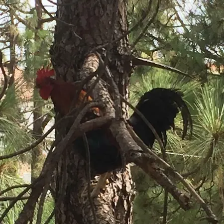 Lejlighed El Mirador *